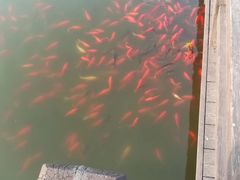 -前关湿地公园