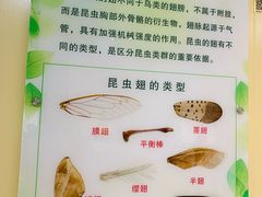 -上海昆虫博物馆