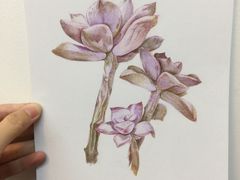 -八哥美术·成人美术画室(总校区)