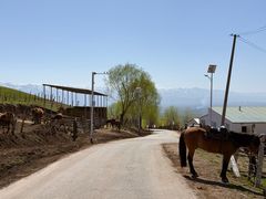 -新疆那拉提国家旅游度假区