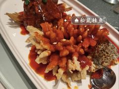 -松鹤楼(狮山永利广场店)