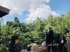 -东方熊牧场