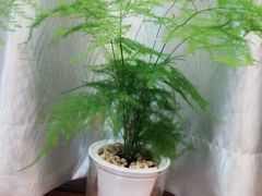 -深圳富茂格伦菲尔口腔门诊部(龙华清湖总院)