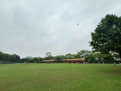 -顺峰山公园