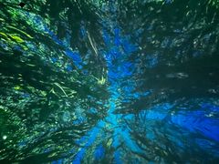 -海合安天津极地海洋公园
