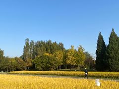 -北坞公园