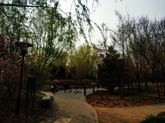 -北极寺公园