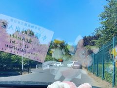 -大兴滨河森林公园