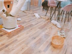 -袖虎·猫馆(体育西路店)