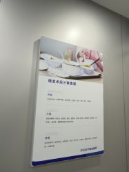 -碧莲盛不剃发植发