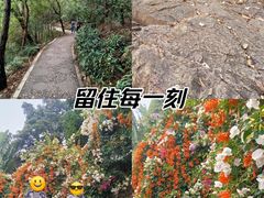 -仙岳公园