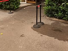 -湖锦酒楼·旗舰店(三阳总店)