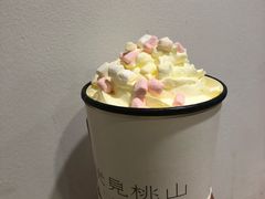-伏小桃(明瓦廊店)