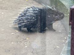 -青藏高原野生动物园