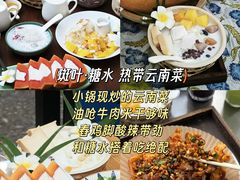 -西双版纳原始森林公园