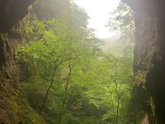 -牛背梁国家森林公园