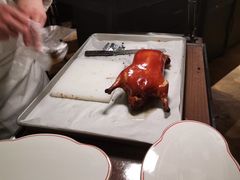-秀儿四九城·新京菜(亚运村鸟巢店)