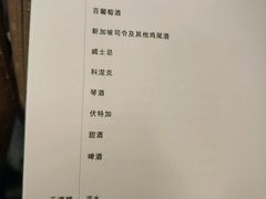 -新加坡航空公司(ION)