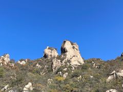 -大岭沟猕猴桃谷风景区