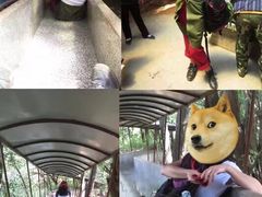 -陕西省红河谷森林公园