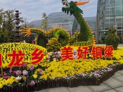 -南山植物园