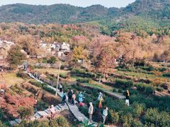 -塔川景区