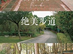 -广州市流溪河国家森林公园