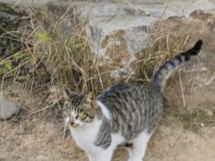 -宝界山林公园