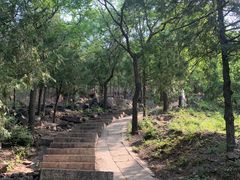 -北京十三陵国家森林公园蟒山景区