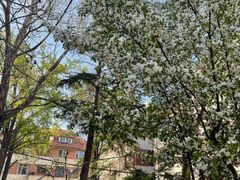 -大学路8号炸串(大学路十四号院店)
