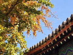-北京石刻艺术博物馆(五塔寺)