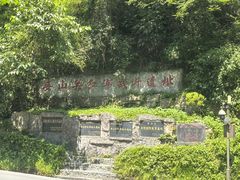 -娄山关景区