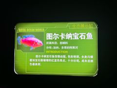 -皇家极地海洋世界-售票处