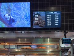 -肯德基(福清万达店)