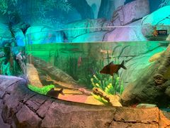 -沈阳海洋探索中心