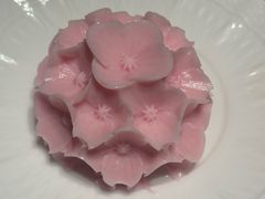 -许爷家·生态湖鲜(徐汇日月光店)