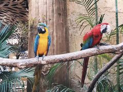 -杭州开元森泊度假乐园