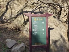 -北京凤凰岭