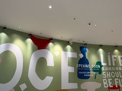 -东莞松山湖万象汇