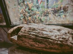 -漪龙台·B26 Rooftop Lounge