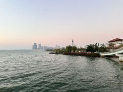 -万绿园