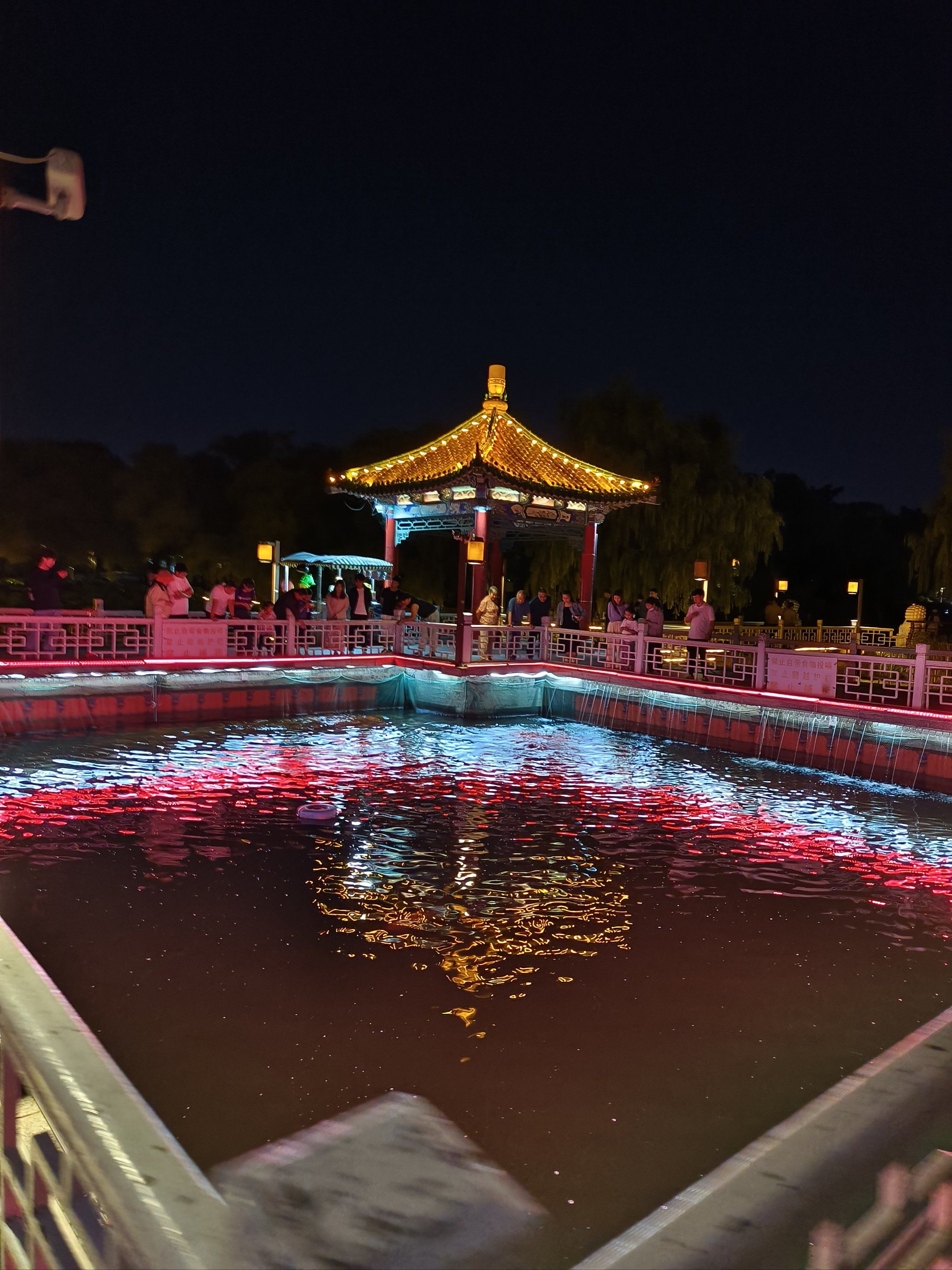 南湖的夜景也太美了吧91都不像是在长春了