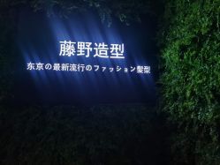 点击看大图 -藤野造型