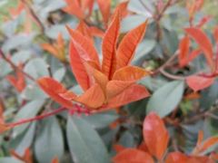 -西南民族大学南区(双流校区)