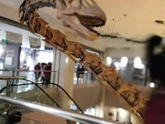 -甘肃地质博物馆