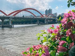 -珠江夜游省总码头