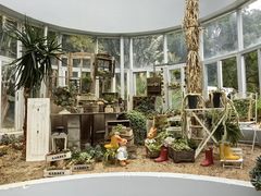 -深圳仙湖植物园