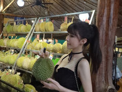 -榴莲BB 四季果园