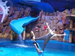 -烟台海昌鲸鲨海洋公园