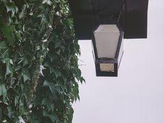 -乌镇景区